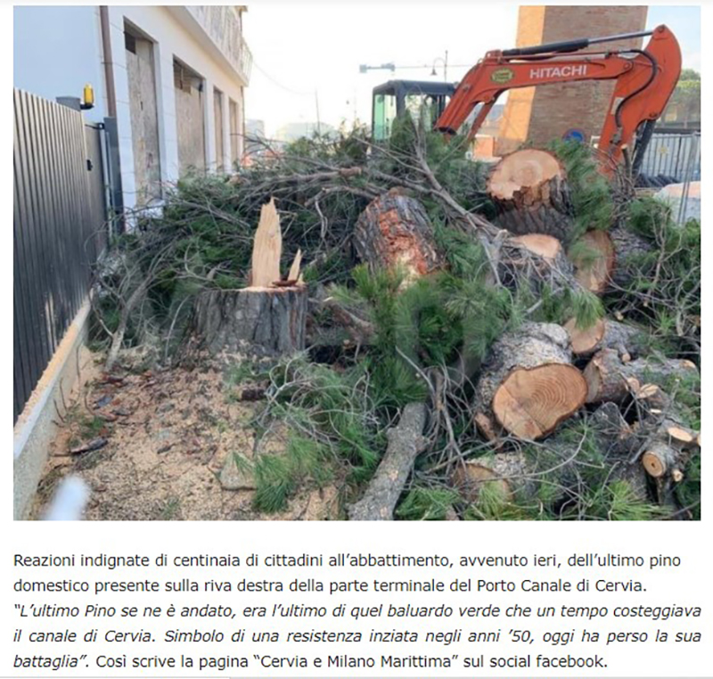 rassegna stampa