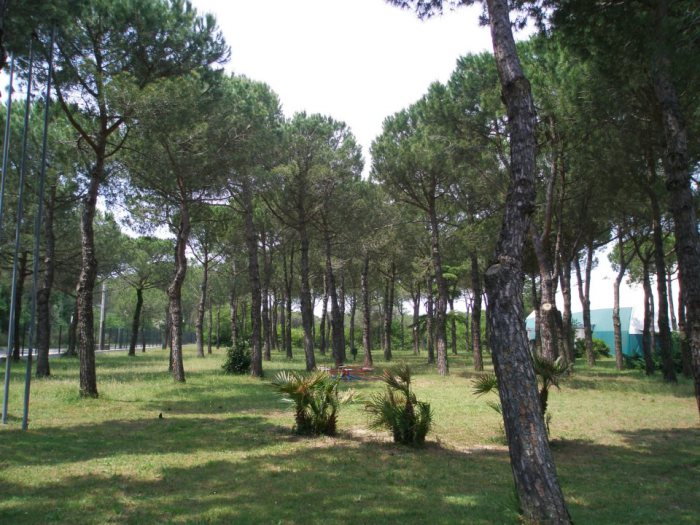 Circolo Tennis di Milano Marittima