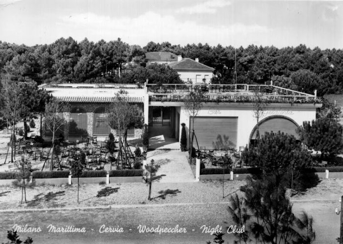 woodpecker-milano-marittima