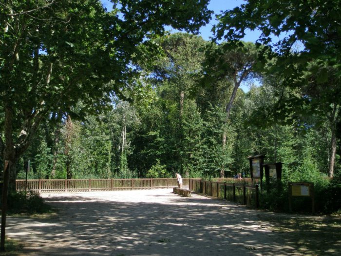 Parco Naturale di Cervia