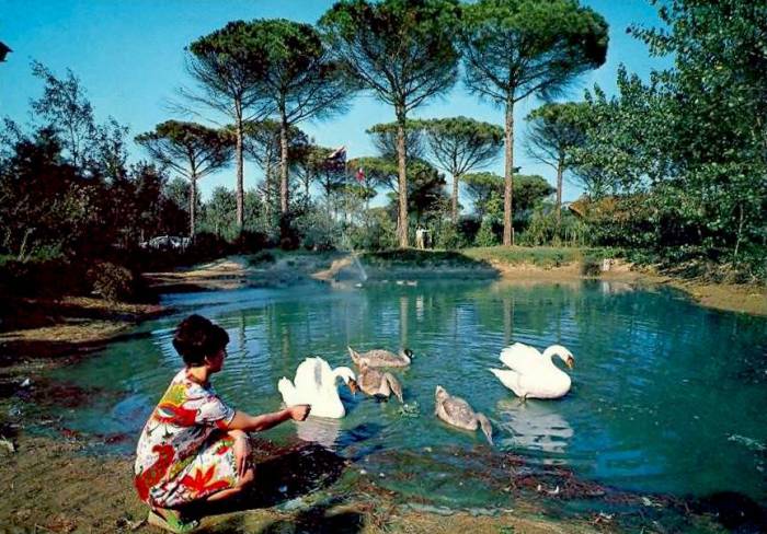 Parco Naturale di Cervia