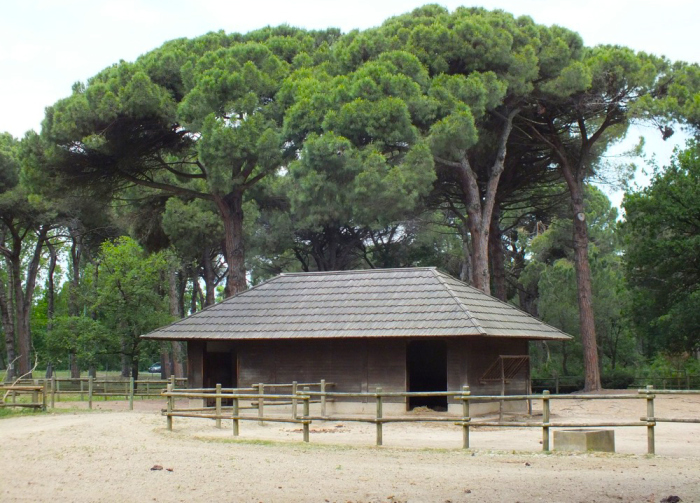 Parco Naturale di Cervia