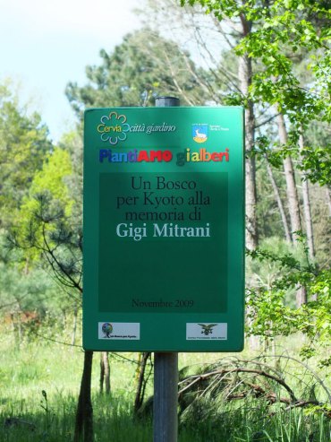 la pineta di cervia e milano marittima