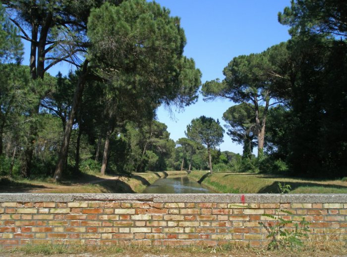la pineta di cervia e milano marittima