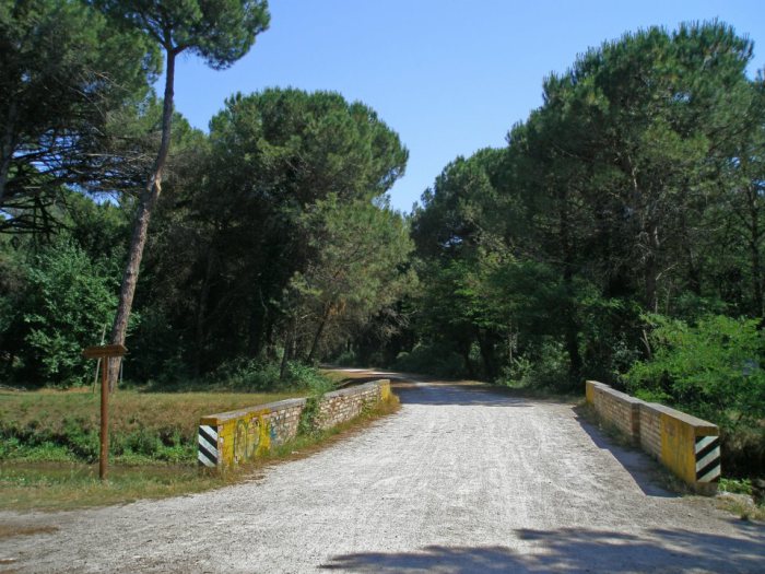 la pineta di cervia e milano marittima