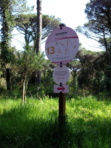 la pineta di cervia e milano marittima