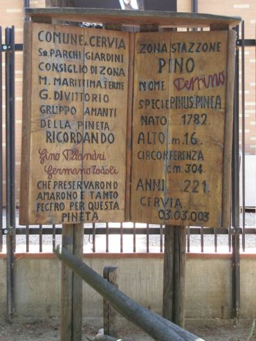  la pineta di cervia e milano marittima