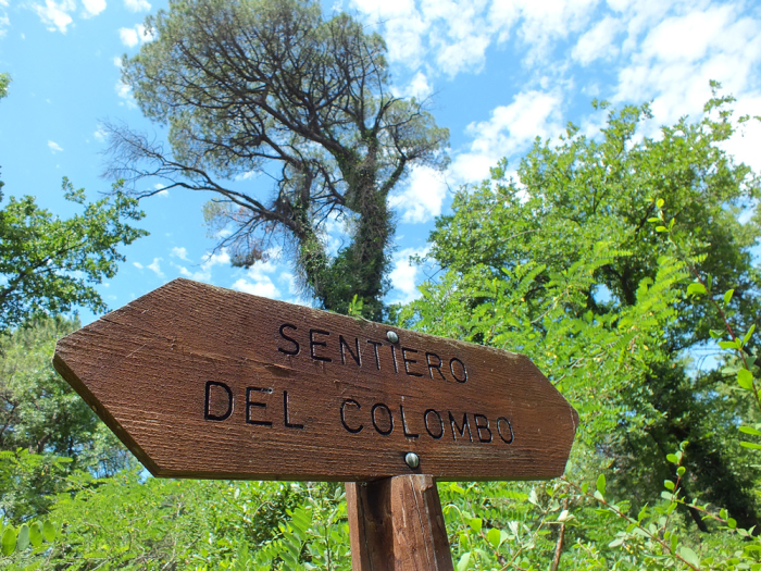 la pineta di cervia e milano marittima