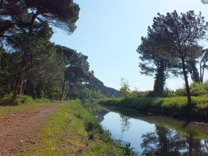Il Canale Madonna del Pino 