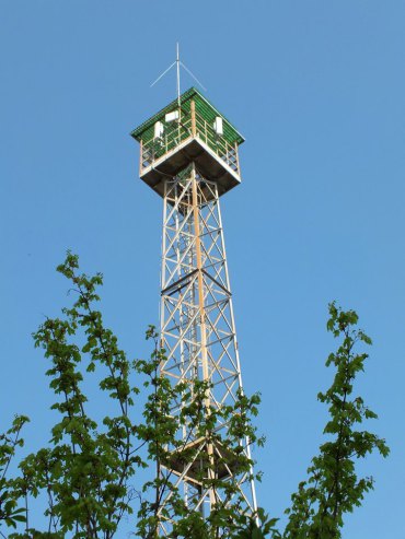 la pineta di cervia e milano marittima