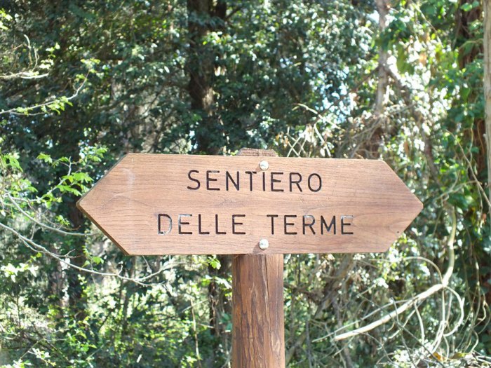 la pineta di cervia e milano marittima