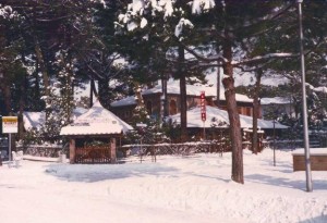 ristorante al caminetto neve milano marittima