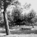Colonia Valle Camonica