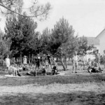 Colonia Valle Camonica