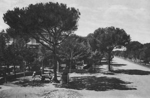 milano-marittima-pensione-al-bosco