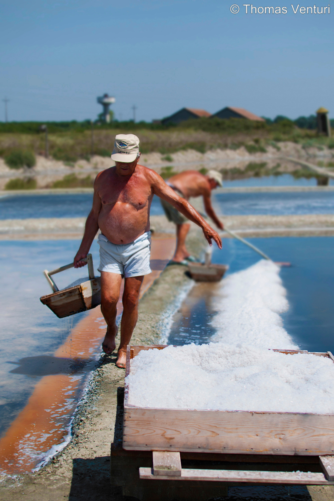 La raccolta del sale a Cervia