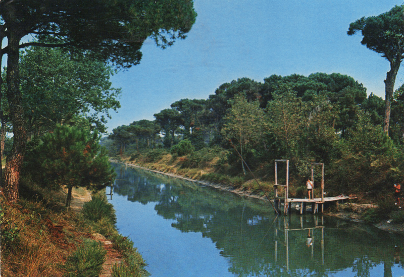canale del pino