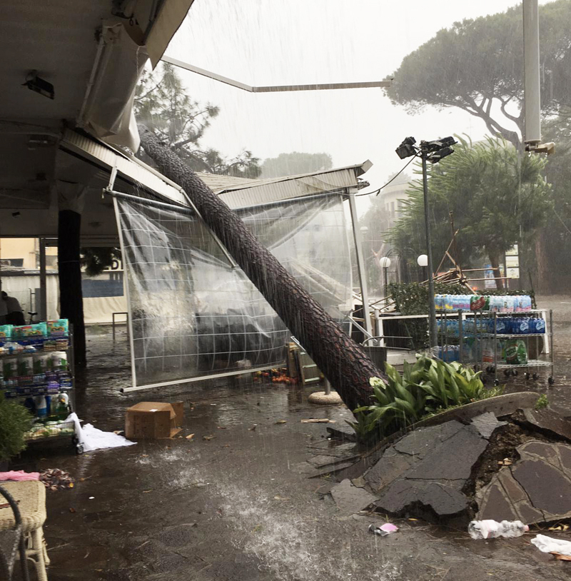 Strage di pini a Milano Marittima