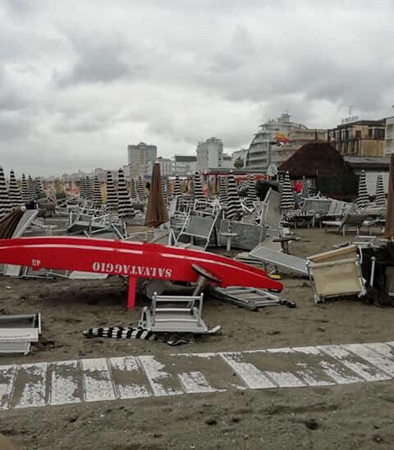 strage di pini a milano marittima