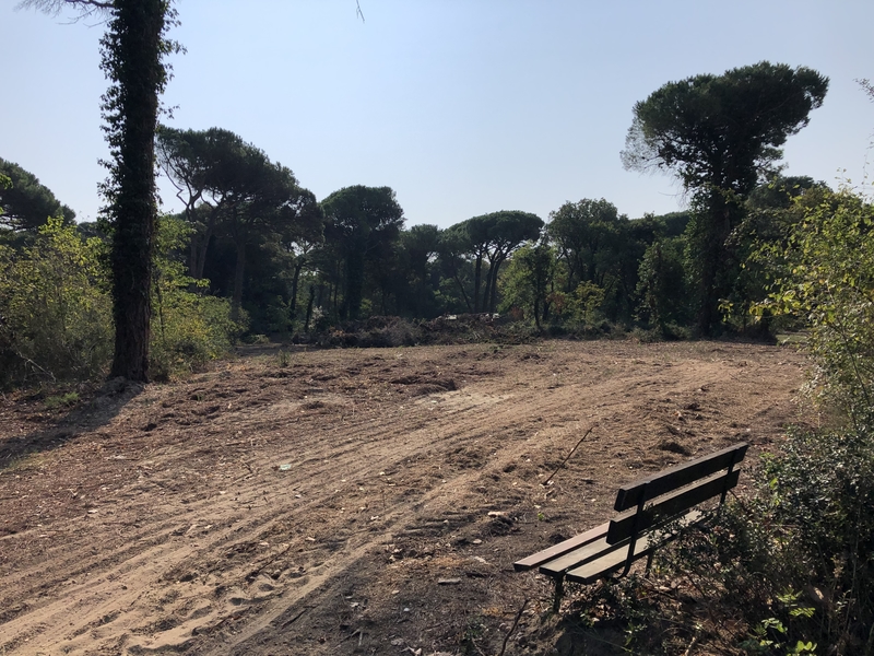 il parco naturale un mese dopo il tornado