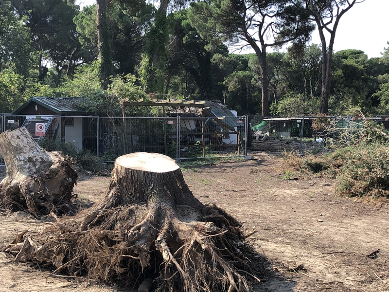 il parco naturale un mese dopo il tornado
