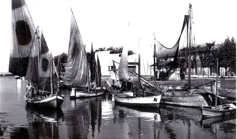 il mercato del pesce di cervia