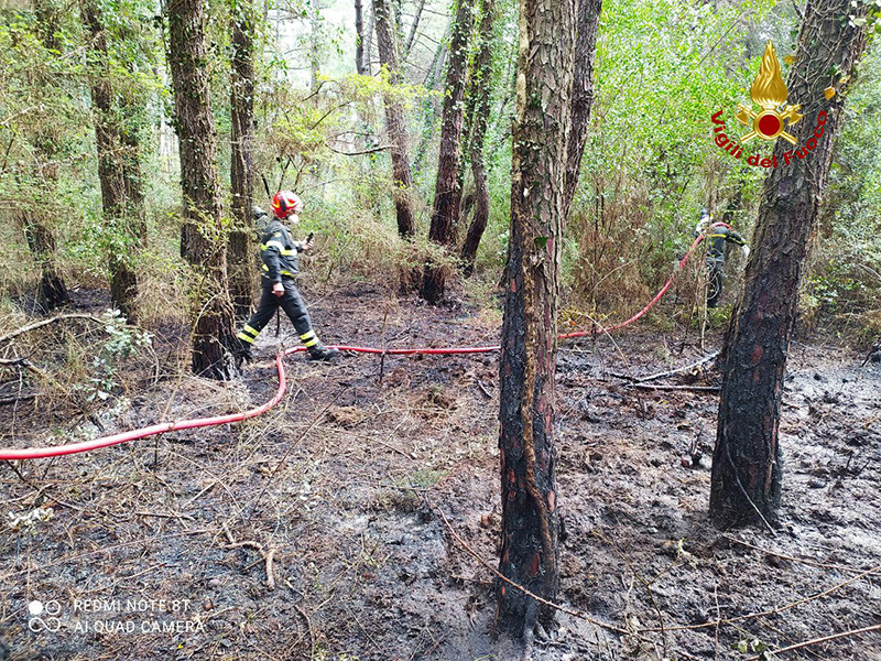 incendio nella pineta a Milano Marittima