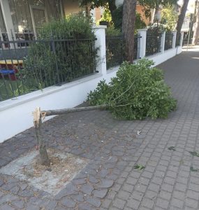 Milano Marittima vandalismi