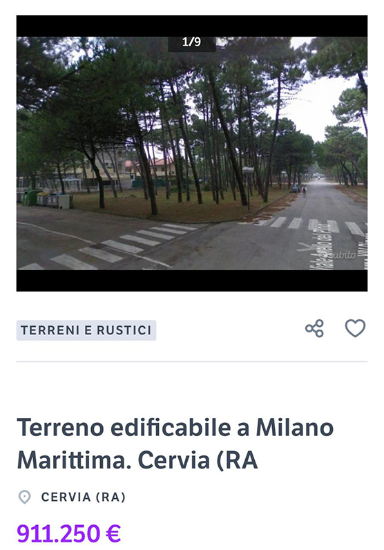 la prossima strage di pini